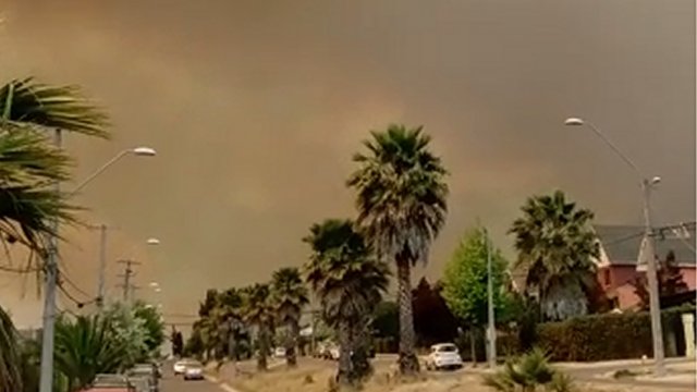 Nube de humo cubre zona afectada por incendio forestal en la Región de Valparaíso