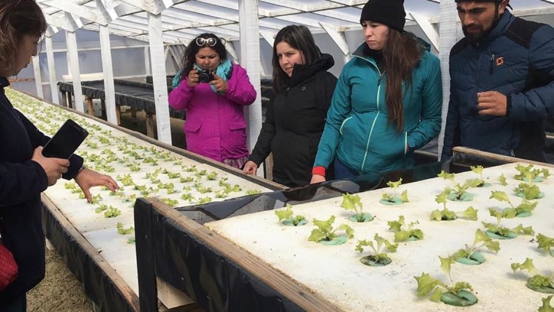 Siete jóvenes de la Mesa Rural de Aysén realizaron gira tecnológica en Punta Arenas y Puerto Natales