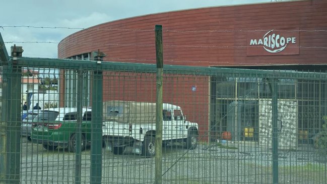 Puerto Montt: Millonario robo afectó a empresa que se dedica a la robótica submarina