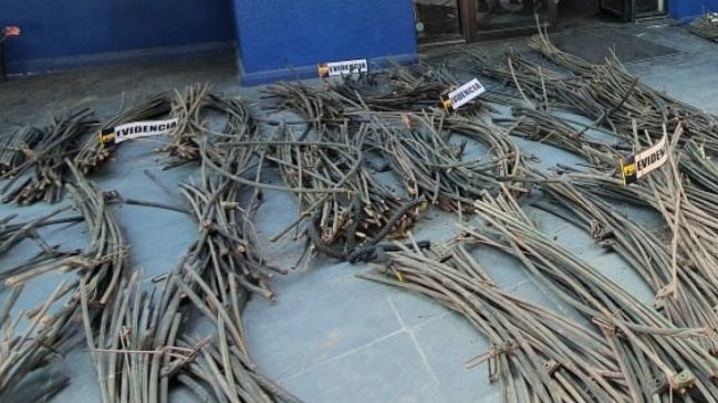 Dos hermanos son los primeros imputados en Ñuble por robo de cables de línea férrea