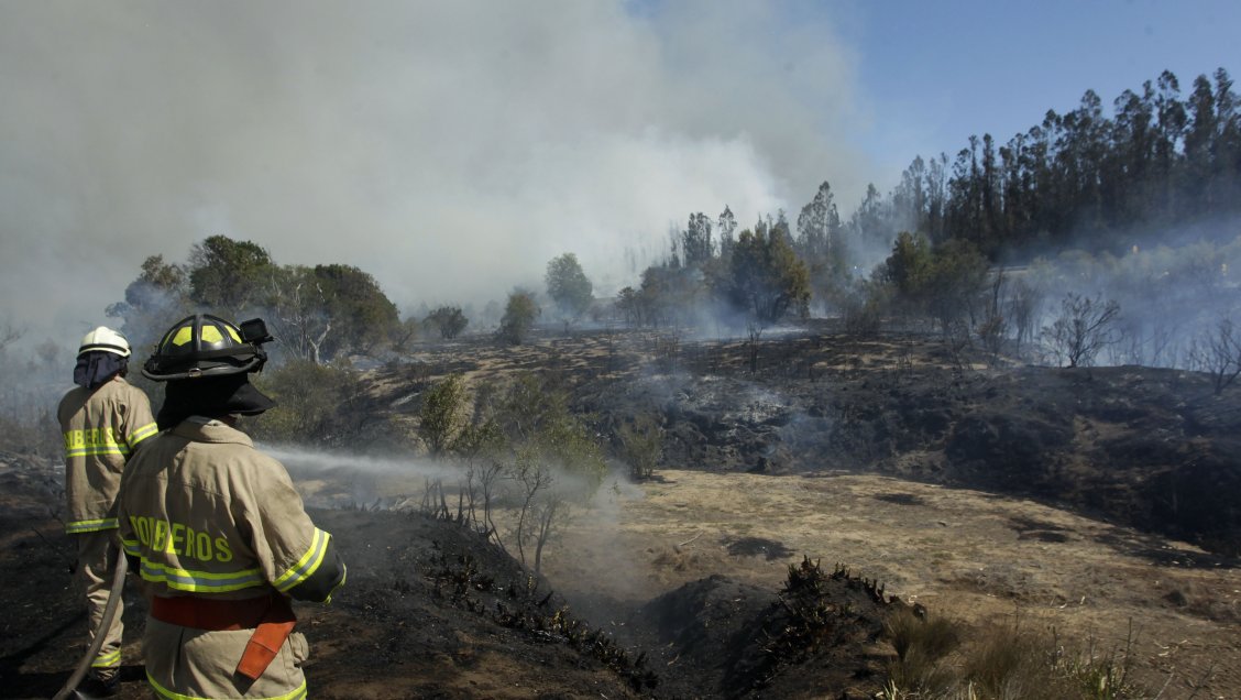 Conaf trabaja en incendio que se acerca a zonas pobladas en Quintay