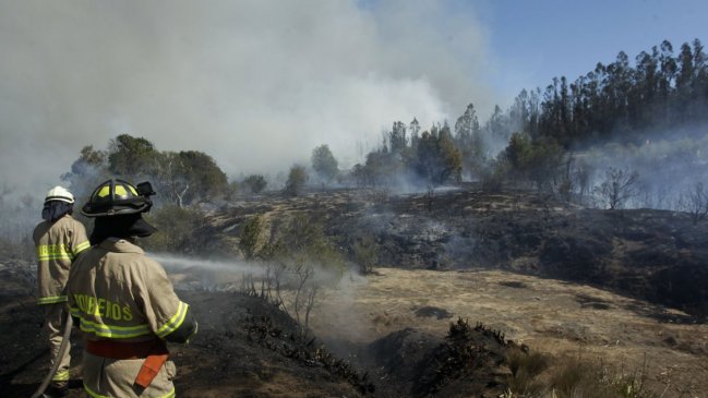 Conaf trabaja en incendio que se acerca a zonas pobladas en Quintay