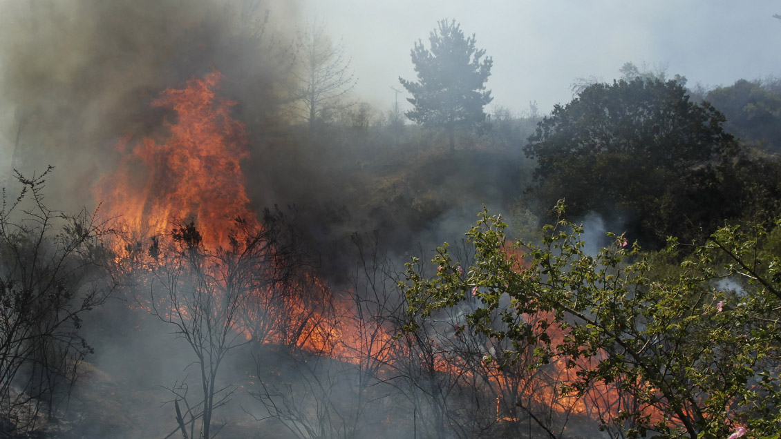 Balance de Onemi: Tres incendios forestales activos en la Región de Valparaíso