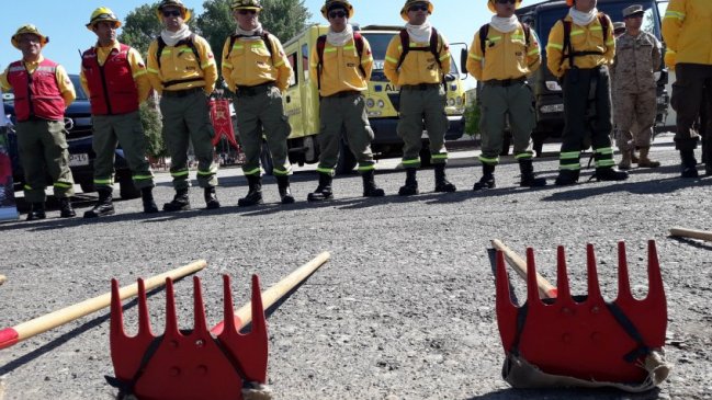 Ñuble registra 400 kilómetros de cortafuegos preventivos contra incendios forestales