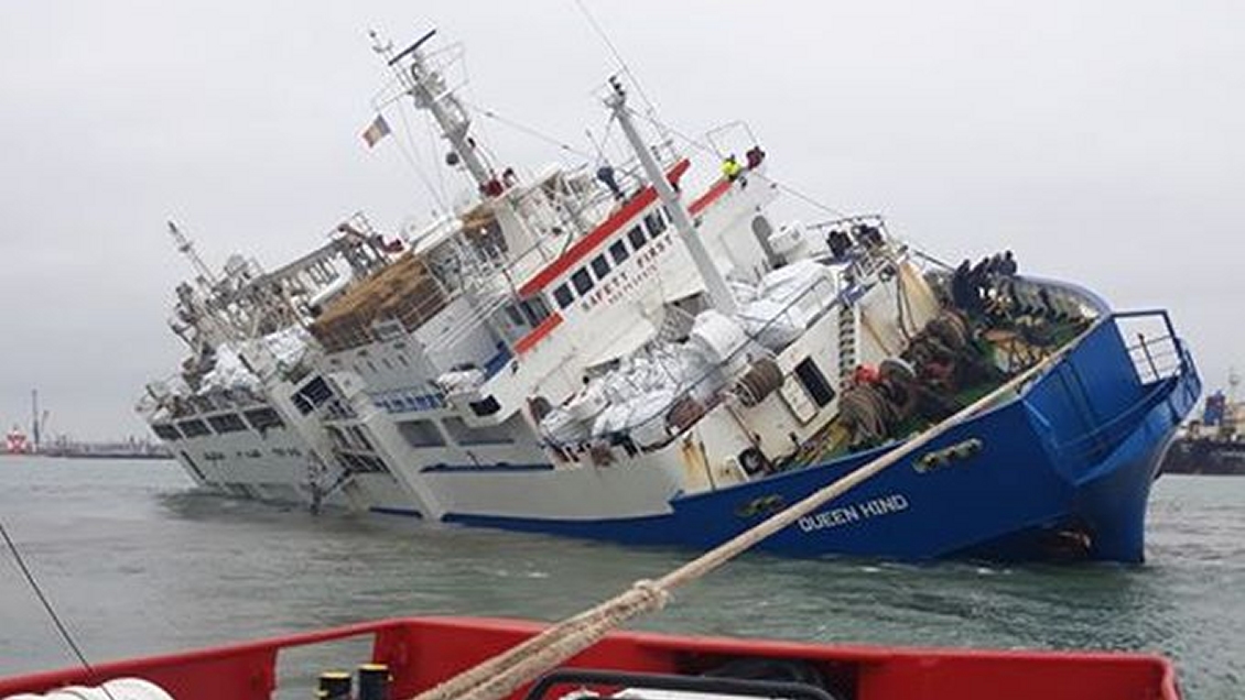 Rescatistas trabajan contrarreloj para salvar a más de 14 mil ovejas atrapadas en el Mar Negro