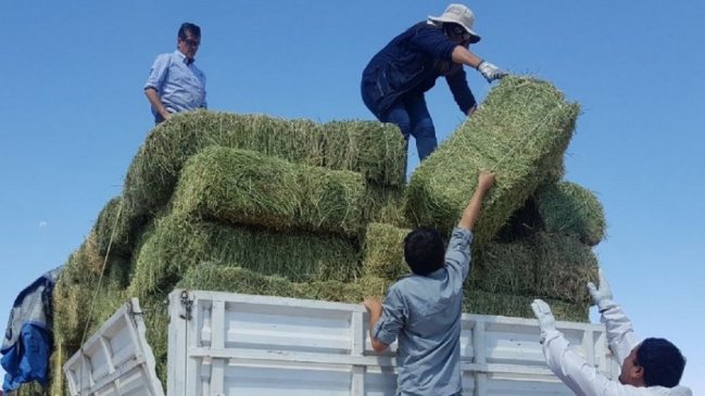 Gobierno anuncia entrega de nuevos recursos para agricultores de O'Higgins