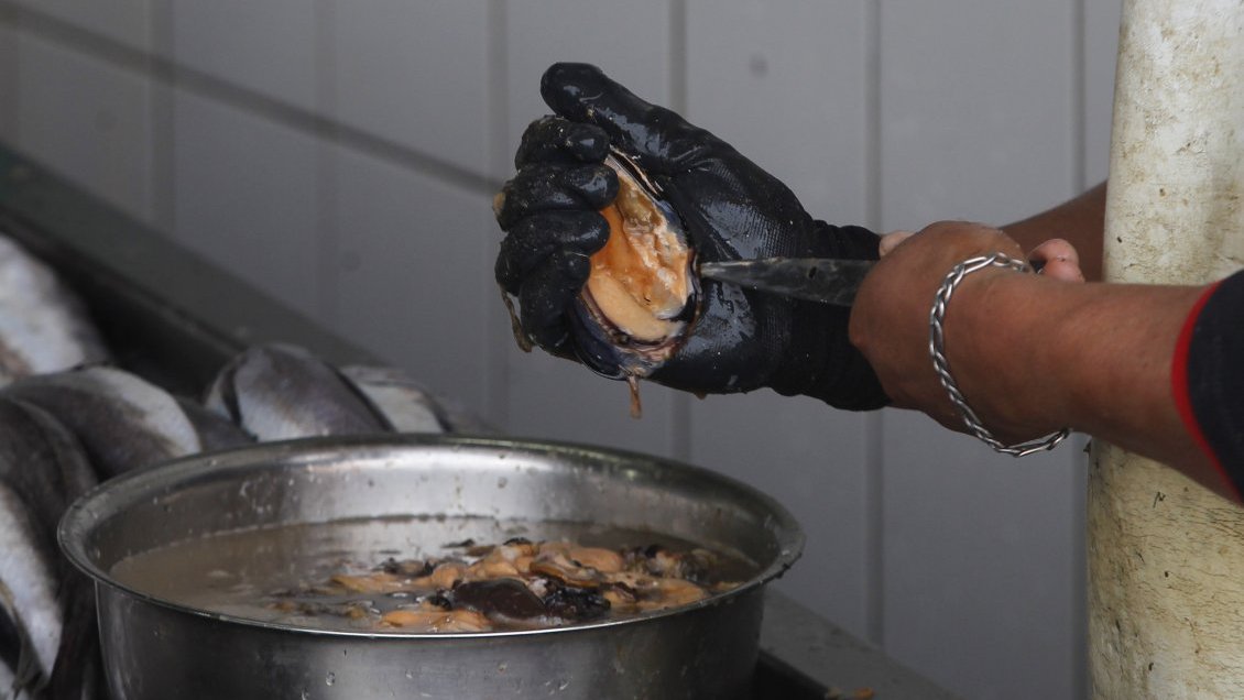 Autoridades prohíben la extracción de mariscos en la Isla Carlos por presencia de marea roja