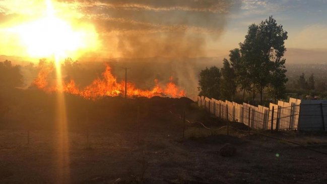 Bomberos y Conaf combaten dos incendios forestales en Santiago