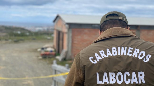 Punta Arenas: Robo afectó a bodega que almacena productos de aseo industrial