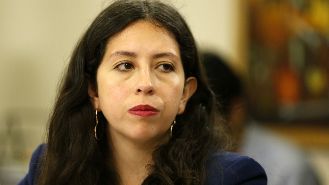 Diputada Yeomans insistirá en alza del 50 por ciento para todas las pensiones solidarias