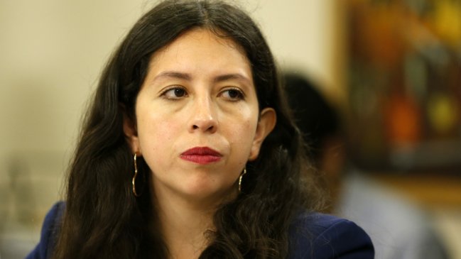 Diputada Yeomans insistirá en alza del 50 por ciento para todas las pensiones solidarias