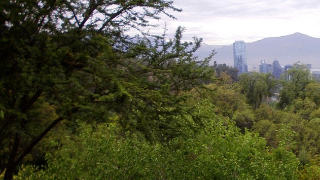 Pacto Verde Europeo, el plan que busca la neutralidad climática del continente al 2050