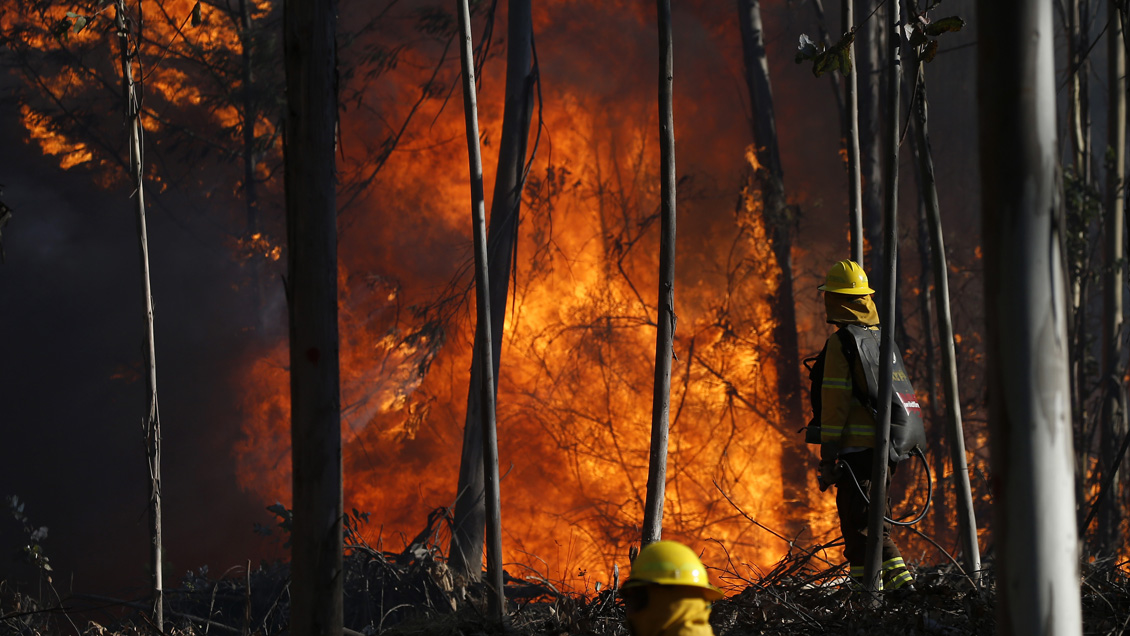 Declaran alerta roja para Valparaíso y Viña del Mar por incendio forestal en localidad de Placilla