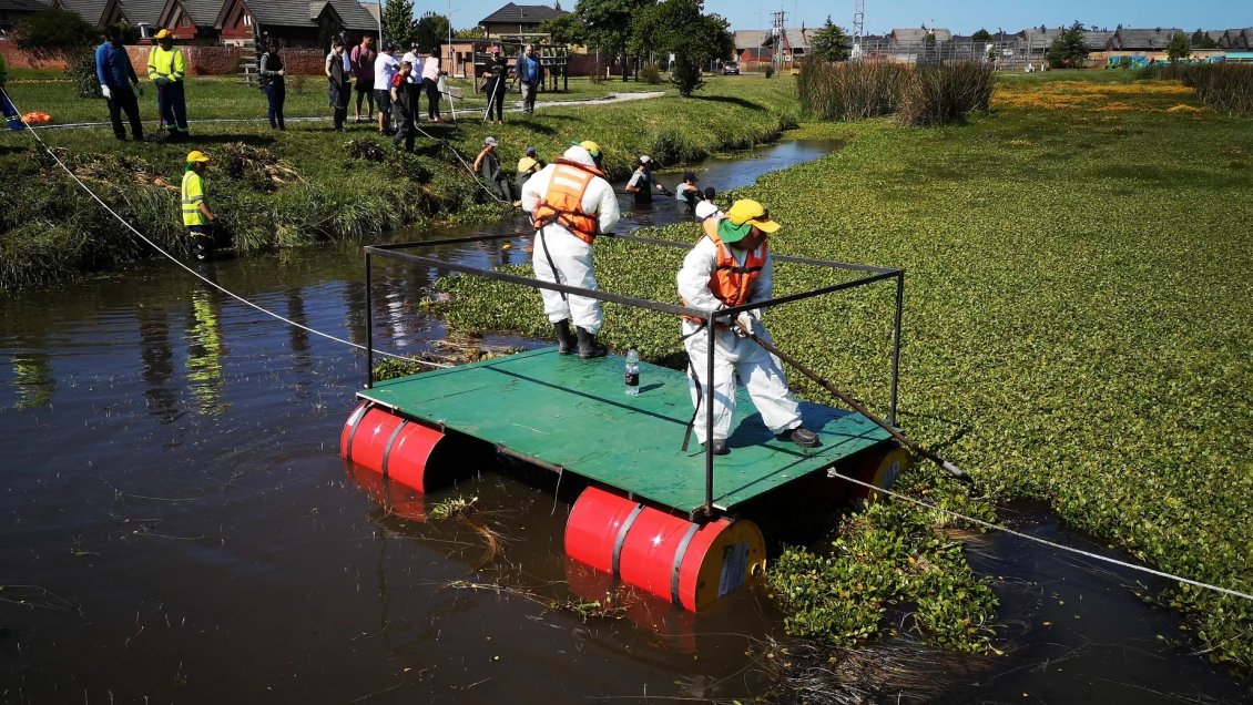 Jóvenes limpiaron el humedal San Pedro del Valle en San Pedro de la Paz