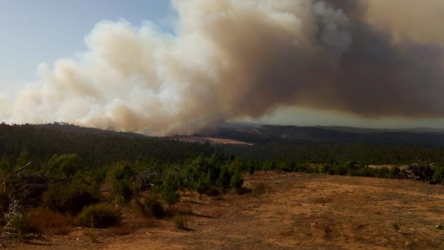 Intendencia declara alerta roja para Paredones por incendio forestal