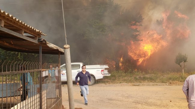 Peralillo y San José de Maipo concentran los incendios forestales en la zona central