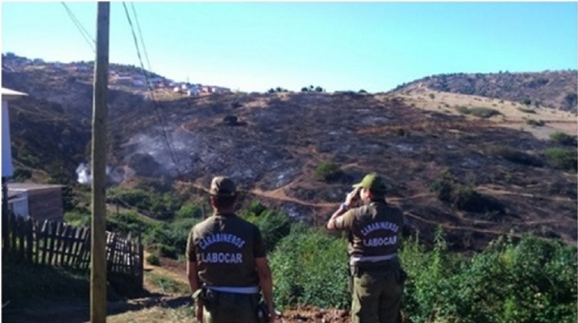 Carabineros indaga origen de incendio forestal en Paredones