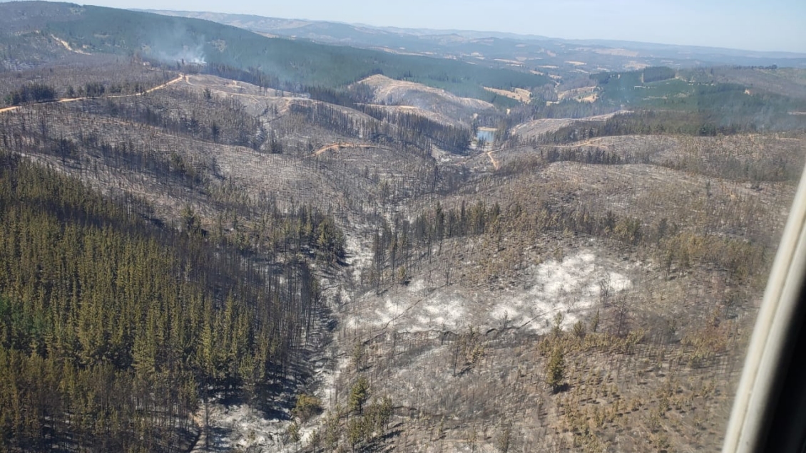 Carabineros detuvo a sospechoso de iniciar incendio forestal en Peralillo