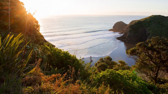 Multimillonario busca 