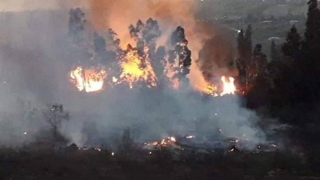 Declaran alerta roja por incendio forestal en Vallenar