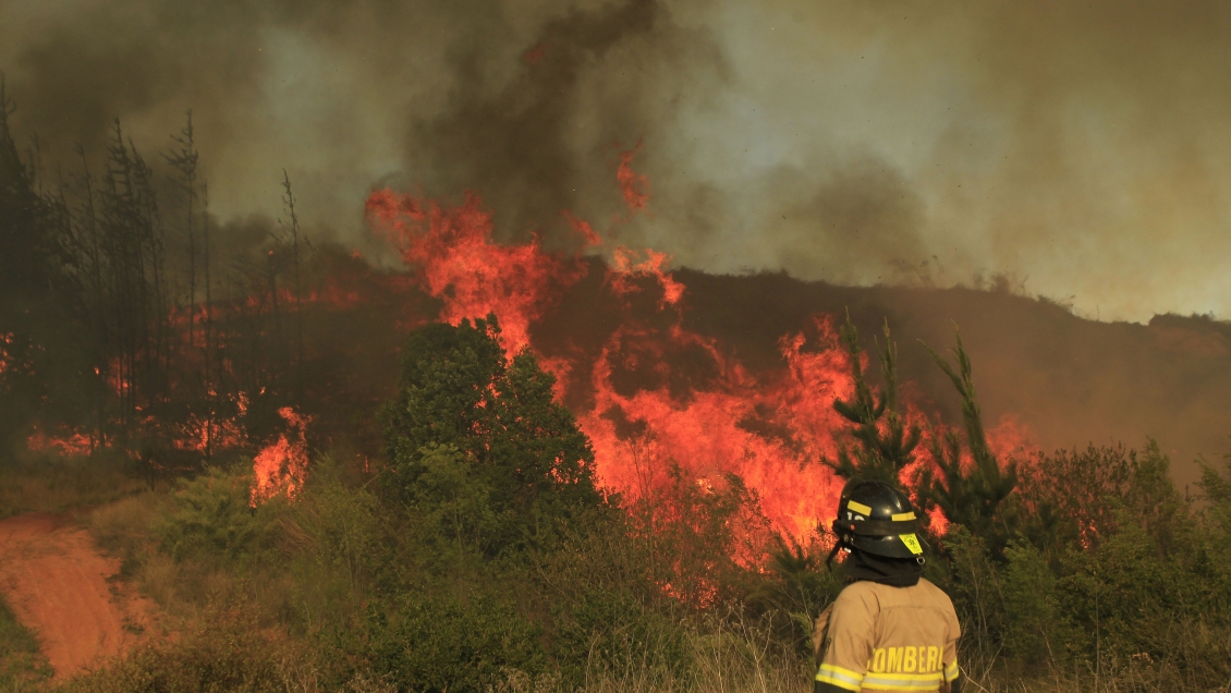 Tribunal decretó arresto domiciliario total para dos imputados por incendio en Curauma