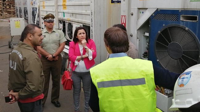 Incautan cocaína que llegó escondida en un barco desde Holanda a Coronel