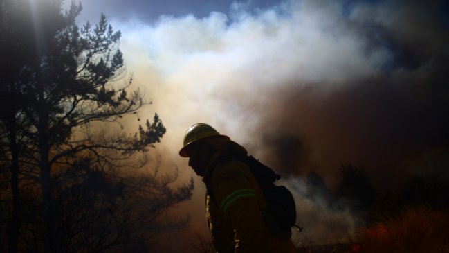 Balance de Conaf: Hay 11 incendios forestales activos y tres de gravedad