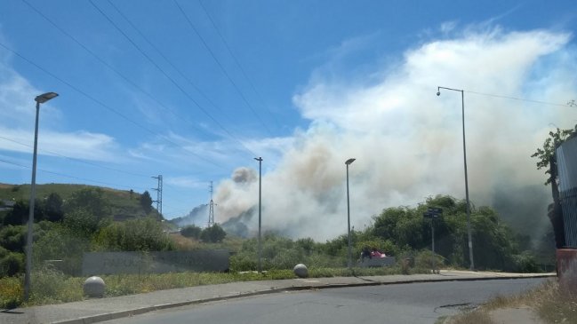 Incendio obligó a cortar tránsito por Avenida Alonso de Ribera en Concepción