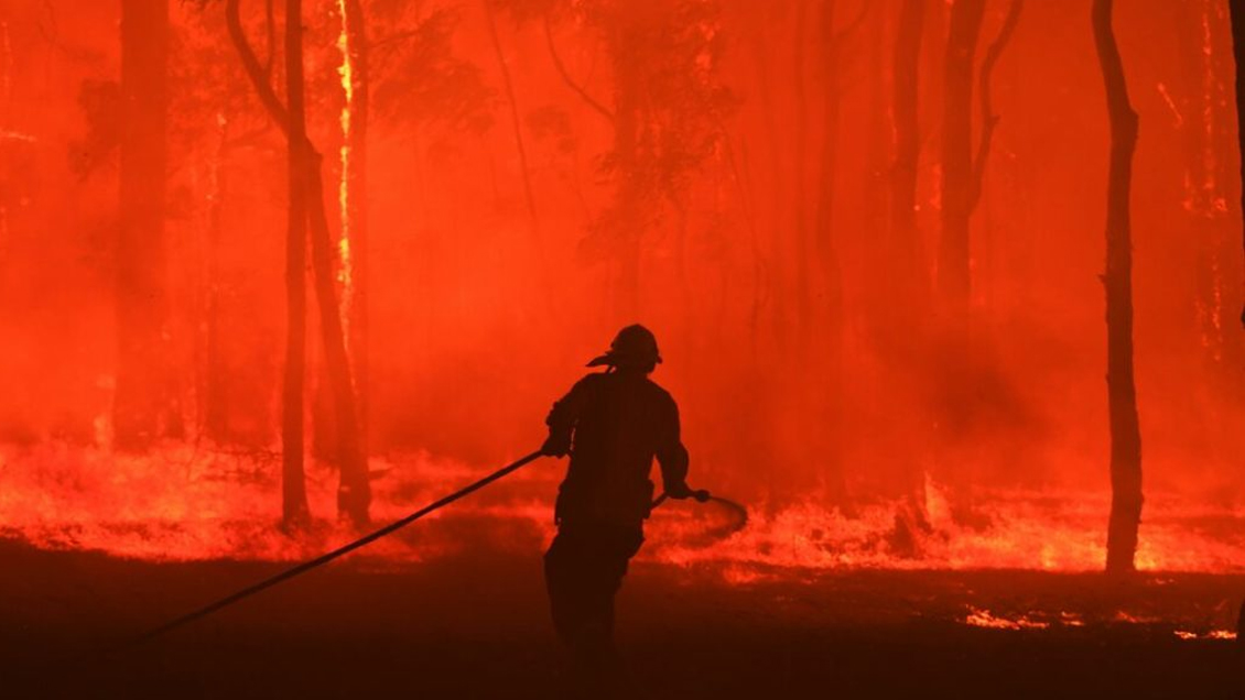 Los incendios en Australia destruyeron alrededor de 200 casas el fin de semana