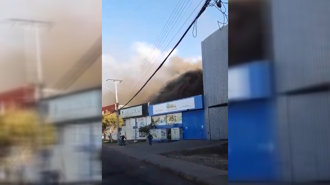 Incendio afectó a sector de la Zofri en Iquique