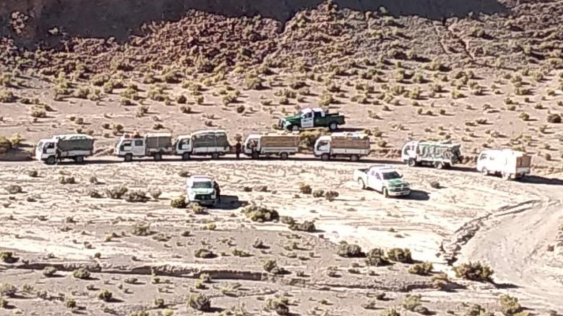 Decomisan millonario cargamento de cigarrillos de contrabando en sector fronterizo de Calama
