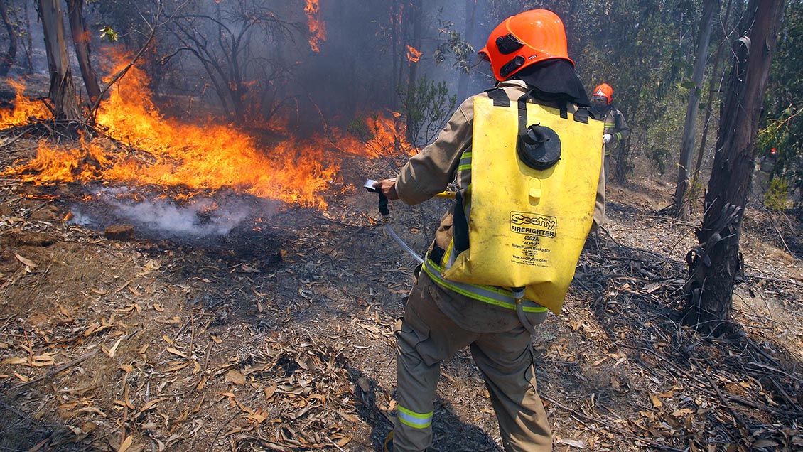 MOP comenzó construcción de cortafuegos en la Región de Valparaíso