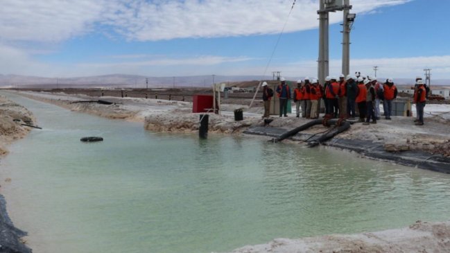 Tribunal Ambiental acogió reclamación de comunidades atacameñas por plan de cumplimiento de SQM Salar