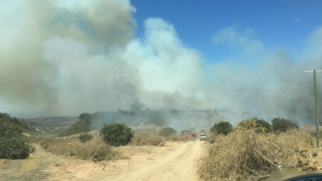 O’Higgins: Controlan incendio forestal en La Estrella