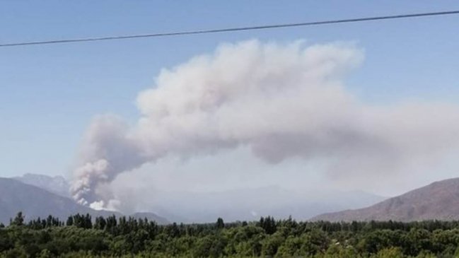 Onemi declaró alerta roja para Coltauco por incendio forestal