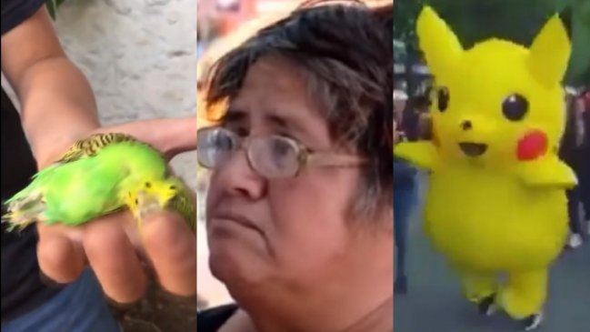 Los personajes virales de Chile que dejó 2019