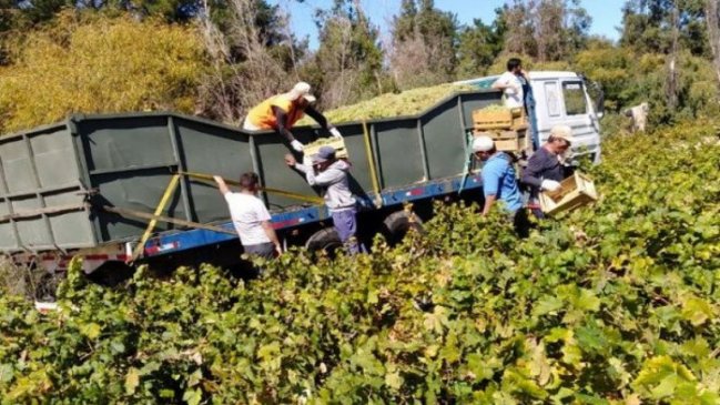 Ñuble cierra 2019 con 7,3% de desocupación, la tasa más baja de los últimos cuatro años