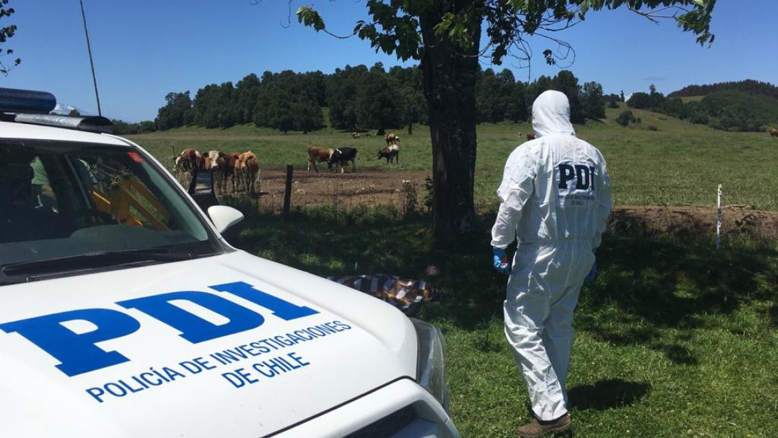 Puyehue: Trabajador murió por descarga mientras instalaba cerco eléctrico