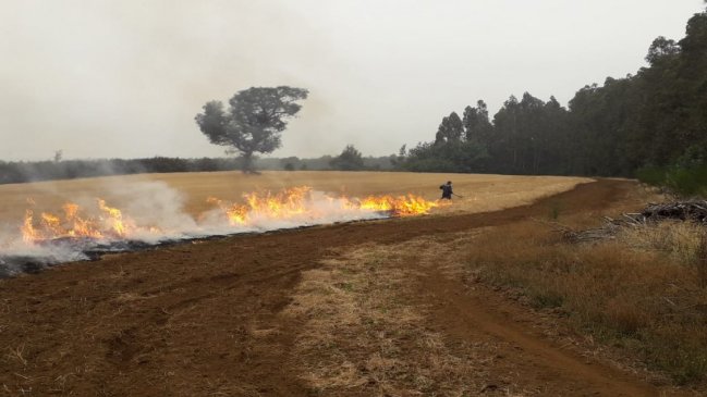 Ñuble: Prisión preventiva para el primer formalizado del año por incendio intencional