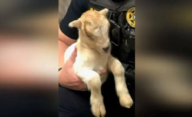 Imagen foto_00000016