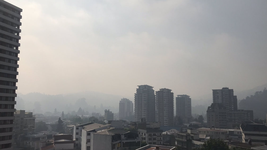 Incendio forestal genera densa capa de humo que cubre al Gran Concepción