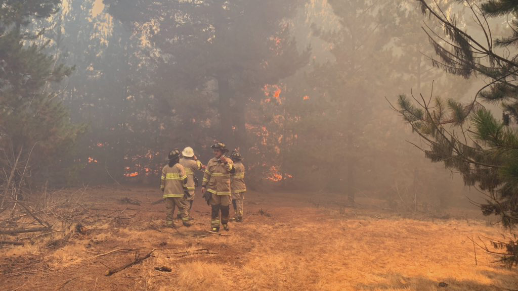 Incendio forestal se registró en la comuna de Concón