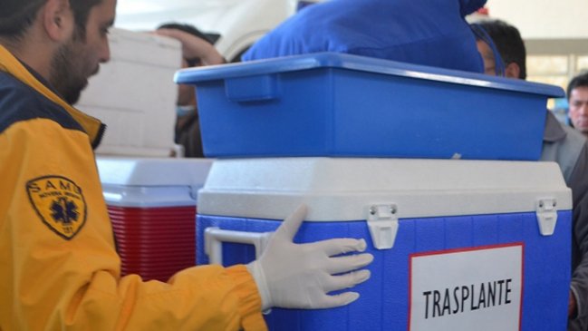  Chile alcanza cifra récord de trasplantes de órganos en 2019  