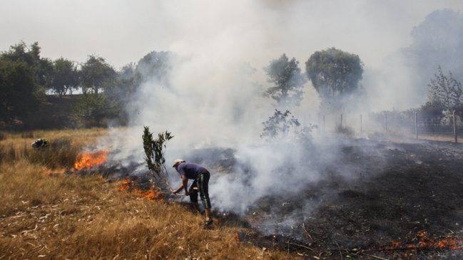 Alerta roja para Traiguén por incendio forestal cercano a viviendas