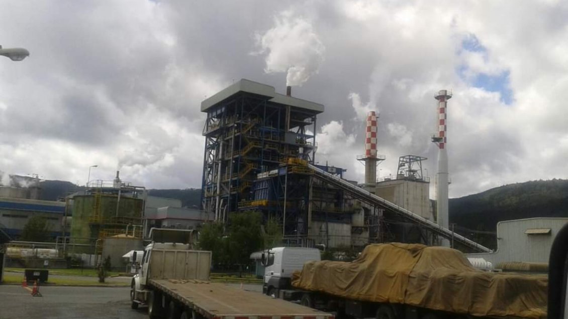 Efecto sequía: Arauco Licancel paralizó producción por bajo caudal del Río Mataquito