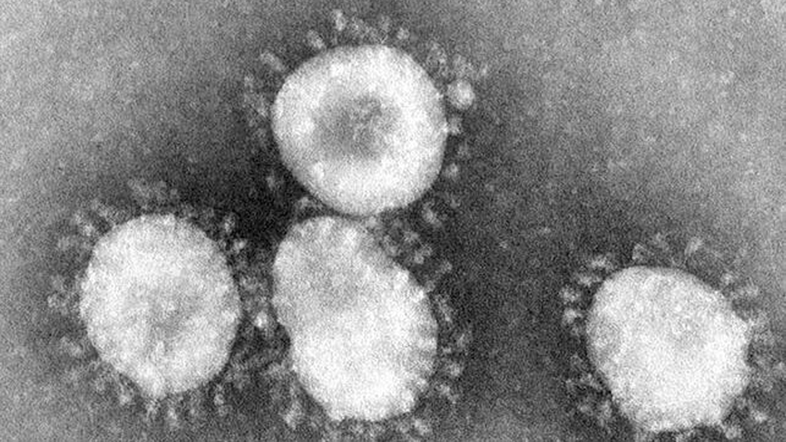 Un nuevo virus es el responsable del misterioso brote de neumonía en China