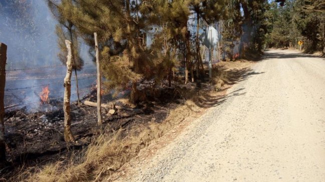 Intendencia declara alerta roja para Navidad por incendio forestal