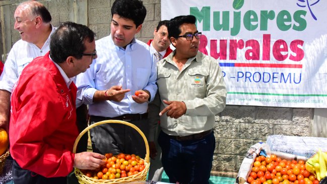 Agricultores de Pampa Concordia en Arica podrán optar a ser dueños de terrenos entregados en concesión
