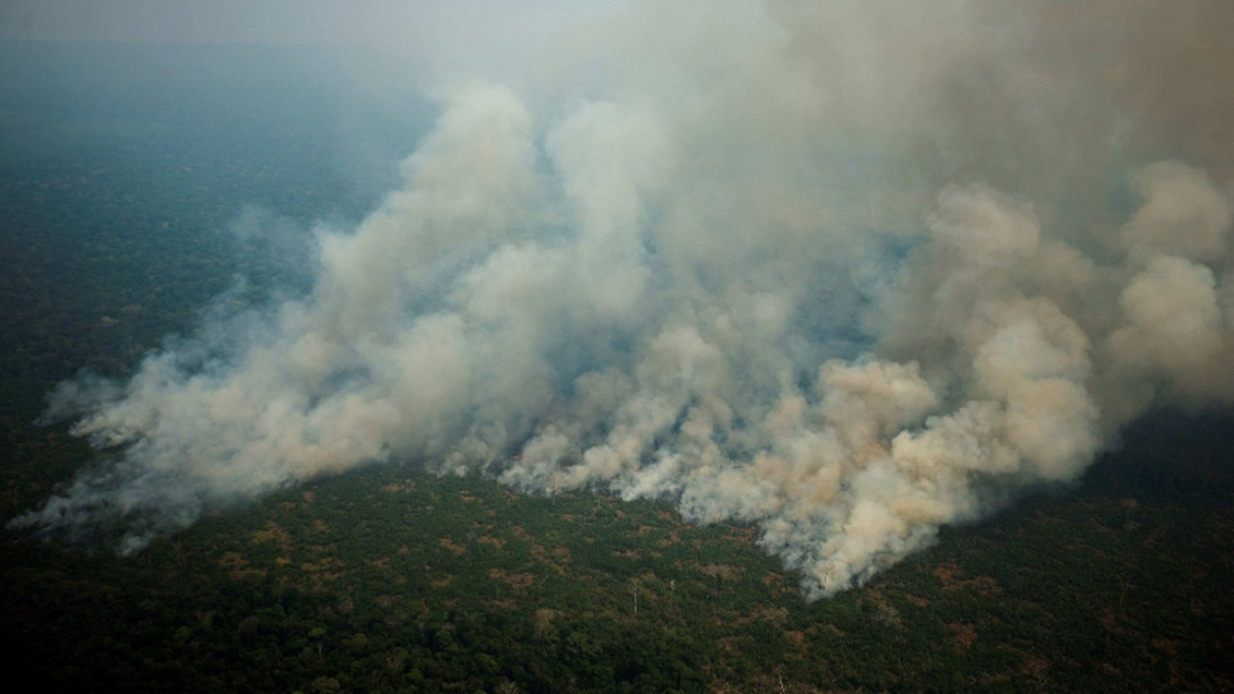 La Amazonía podría pasar de ser 