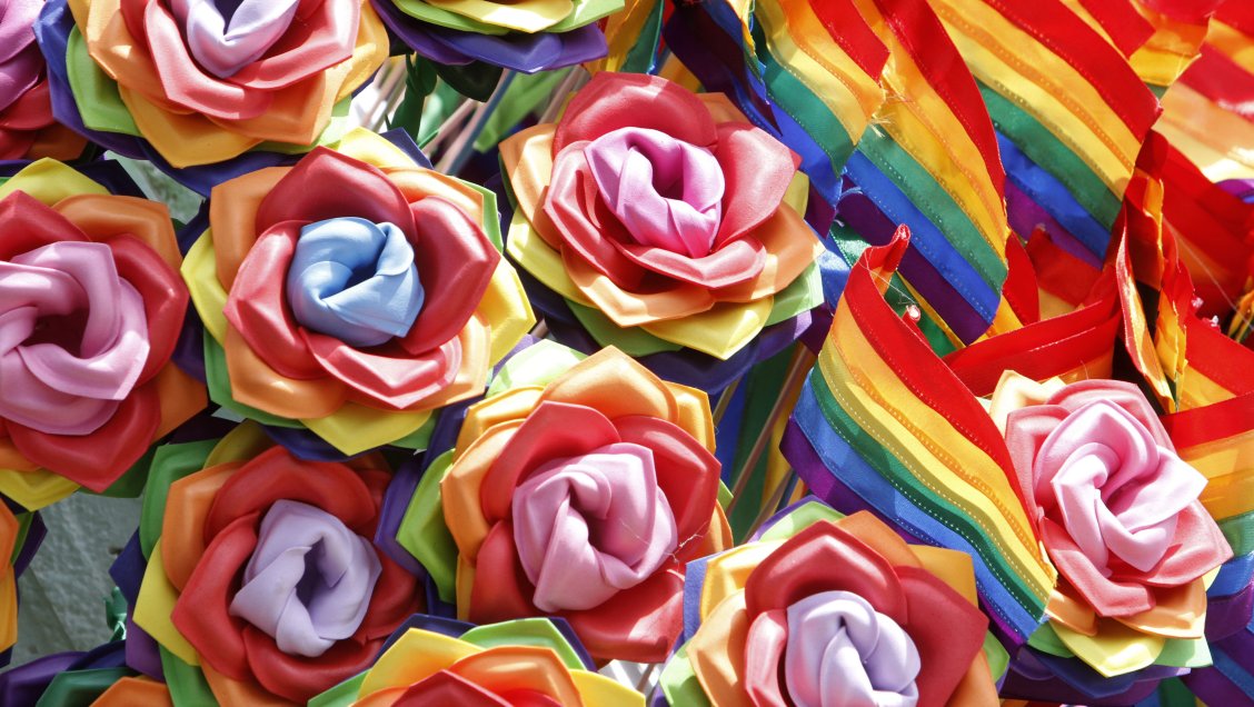 Senado votará en general proyecto de matrimonio igualitario